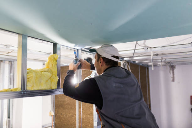 Best Affordable Insulation Services  in Harristown, IL