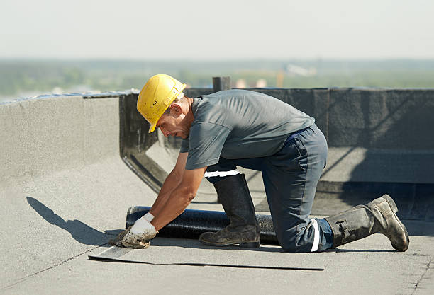 Best Fiberglass Insulation  in Harristown, IL
